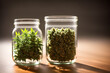 Two glass jars filled with marijuana plants.