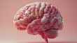 Illustration of a human brain.