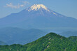 丹沢山地の不動ノ峰より望む富士山
