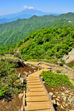 Fototapeta Sypialnia - 丹沢山地の不動ノ峰より　丹沢主脈より望む初夏の頃の富士山
