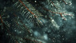 A tree branch covered in snow and raindrops. Concept of calm and peacefulness