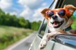 Cute happy dog looking out of car window.