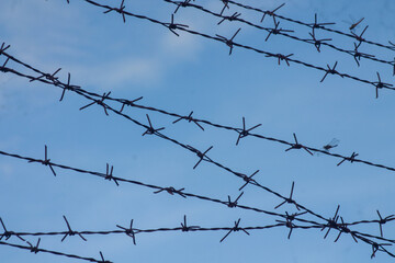 Barbed wire. Barbed wire on fence with blue sky	