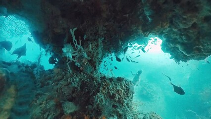 Sticker - Freediver swimming underwater in the tropical sea and exploring intricate seascape and abundant marine life of the West Papua region in Indonesia