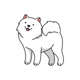 Fototapeta Psy - Cute Samoyed dog cartoon illustration 