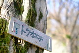 Fototapeta Kwiaty - sign in the forest