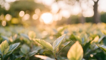 Wall Mural - background of green nature leaf in garden at spring summer seasons generative ai