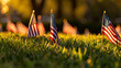American flags in grass during golden hour