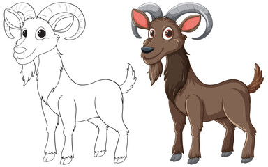 Wall Mural - Vector illustration of a ram, both sketched and colored