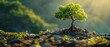 Young, lively tree growing from old base, serene nature background, midshot, vibrant and enduring spirit