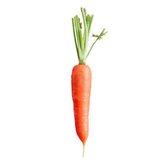 Wall Mural - Carrot with a stem protruding