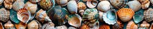 Stacked Seashells Arrangement On Surface
