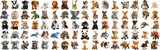 Fototapeta Pokój dzieciecy - Big set of cute fluffy animal dolls for nursery and children toys, many animal plush dolls photo collection set, isolated background AIG44