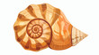 Brown sea spiral seashell an empty shell of a sea moll