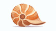Brown sea spiral seashell an empty shell of a sea moll