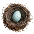 © Ghulam - Nest with egg isolated on transparent background
