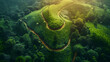 Aerial view of lush green tea plantation with winding road at sunrise