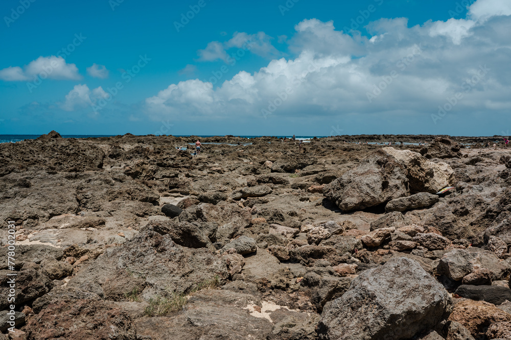 Shark’s Cove North Shore Oahu Hawaii. reef deposits. Snorkeling ...