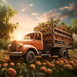 Cargo truck carrying peach fruit in an orchard with sunset. Concept of food production, transportation, cargo and shipping.