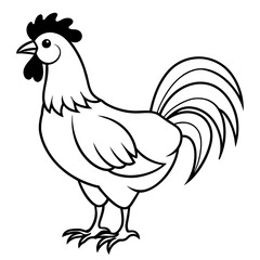 Wall Mural - rooster isolated on white