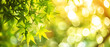 Canabis leaves over blurred bokeh background. Generative ai design art concept.