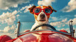 dog with goggles in red racing car	

