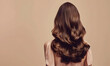 Model woman from behind with beautiful long wavy hair, dyed hair