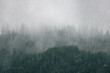 Rain over the green forest. Carpathian foggy mountain hills. Rainy day in summer.