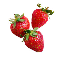 Wall Mural - Two red strawberries on Transparent Background