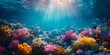 Vibrant Underwater Coral Reef Ecosystem Bathed in Soft Sunlight Rays Showcasing a Colorful Marine Paradise