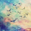 High-flying birds in a sky of watercolor dreams.