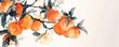 orange colour persimmon fruit tree branch on solid background chinese painting