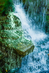 Canvas Print - Small waterfall in shady and cool garden