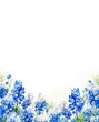 Watercolor Bluebonnet Banner Background Design with Copy Space