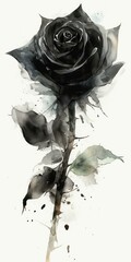 single black rose in watercolor on a white background