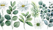 © Nolan - Watercolour floral illustration set. White flowers, green leaves individual elements collection. Green branches, eucalyptus, chamomile. For wedding invitations, anniversary, birthday, prints, posters.