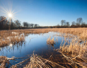 Poster - wet landscape - early spring