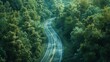 A curvy road surrounded by lush forests,