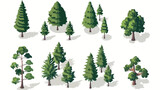 Fototapeta Dinusie - Isometric pine tree design Flat vector isolated on white