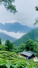 Canvas Print - hut in the mountains