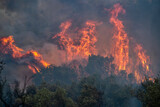 Fototapeta Sport - Forest fires in the prefecture of Evros in northern Greece in the biggest fire ever in Europe