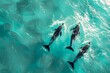 Aerial view of a group of dolphins swimming and playing in the vibrant turquoise ocean waves