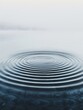 © Pairat - A minimalist composition featuring a series of concentric circles evoking ripples in water