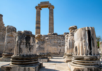 Wall Mural - Didyma Apollo Temple, one of the most important prophecy centers of the ancient world, is located in the city center of Didim district of Aydın ProvinceDidyma Apollo Temple, one of the most important 