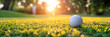 white golf ball on green grass of lawn on golf course at sunset closeup
