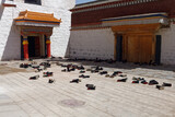 Fototapeta  - Butymnichów na podwórzu klasztoru buddyjskiego