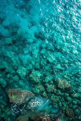 Wall Mural - sea surface. aerial view of blue clean sea. vertical summer background. copy space.