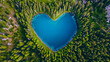 A heart-shaped forest lake. Top view. Love nature concept.