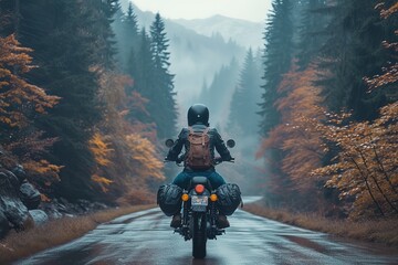 A motorcycle rider in full gear taking a scenic ride through a forested mountain pass