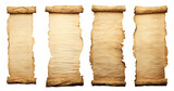 Fototapeta  - Set of ancient parchment scrolls, cut out